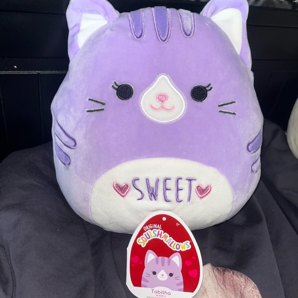 BNWT Valentines cat Tabitha Squishmallow